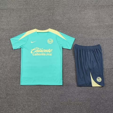 CAM Training Set Grey